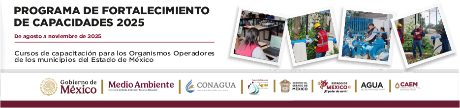 Fortalecimiento de Capacidades